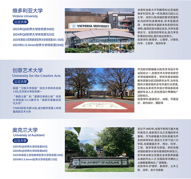 1743585233501339.jpg a4.jpg